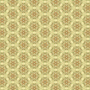 Design green pink