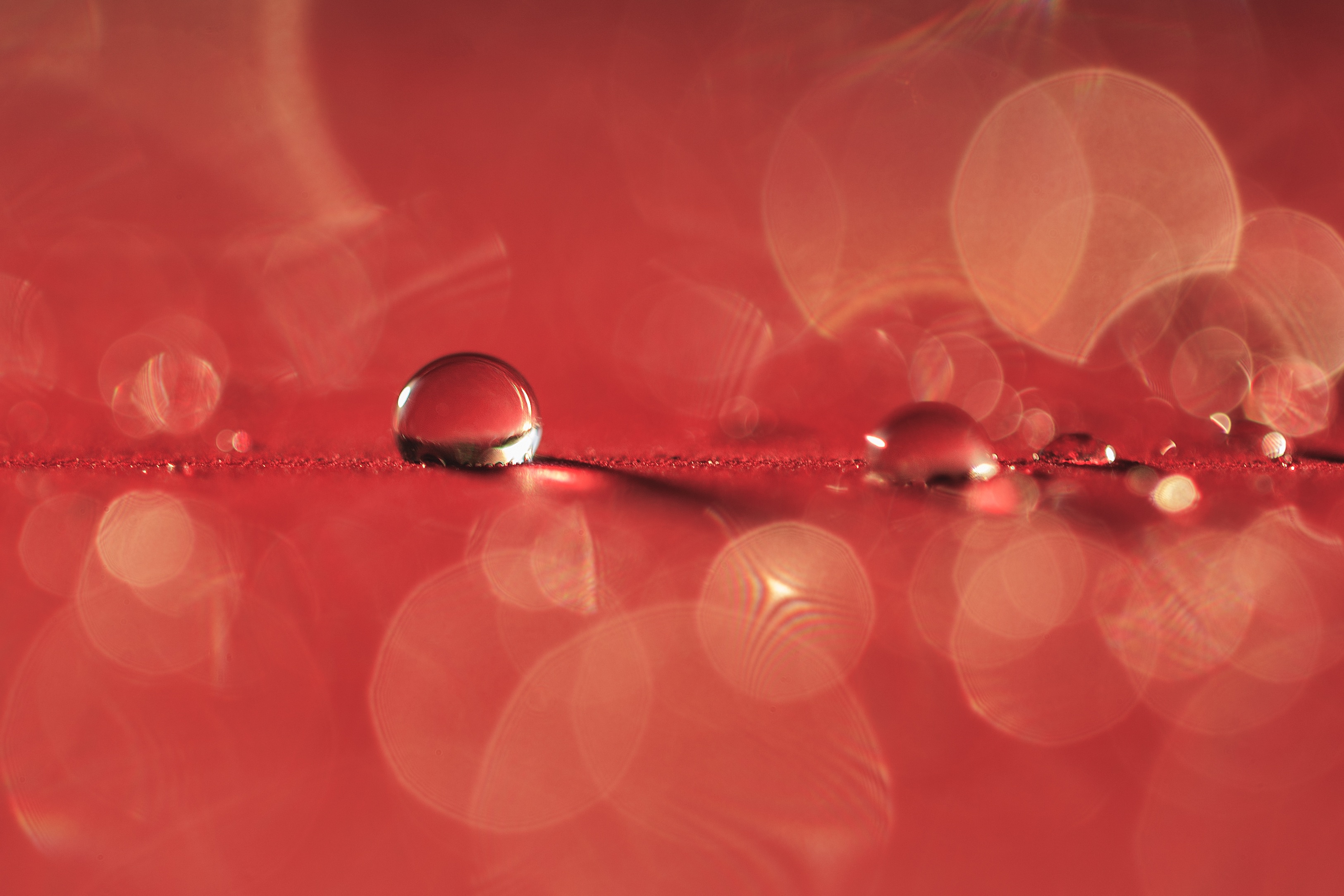 Light raindrop wet - Free digitally-made illustrations on