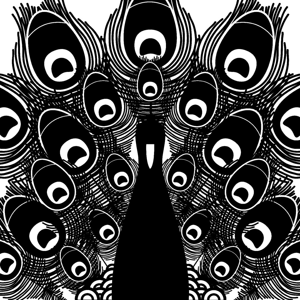 Feather black and white clip art