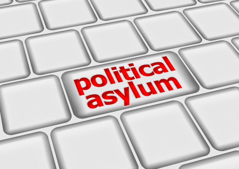 Online policy germany
