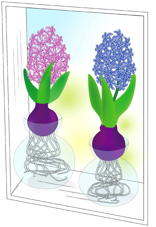 Flowers by the window Free illustrations
