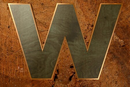 Wooden alphabet alphabet letters
