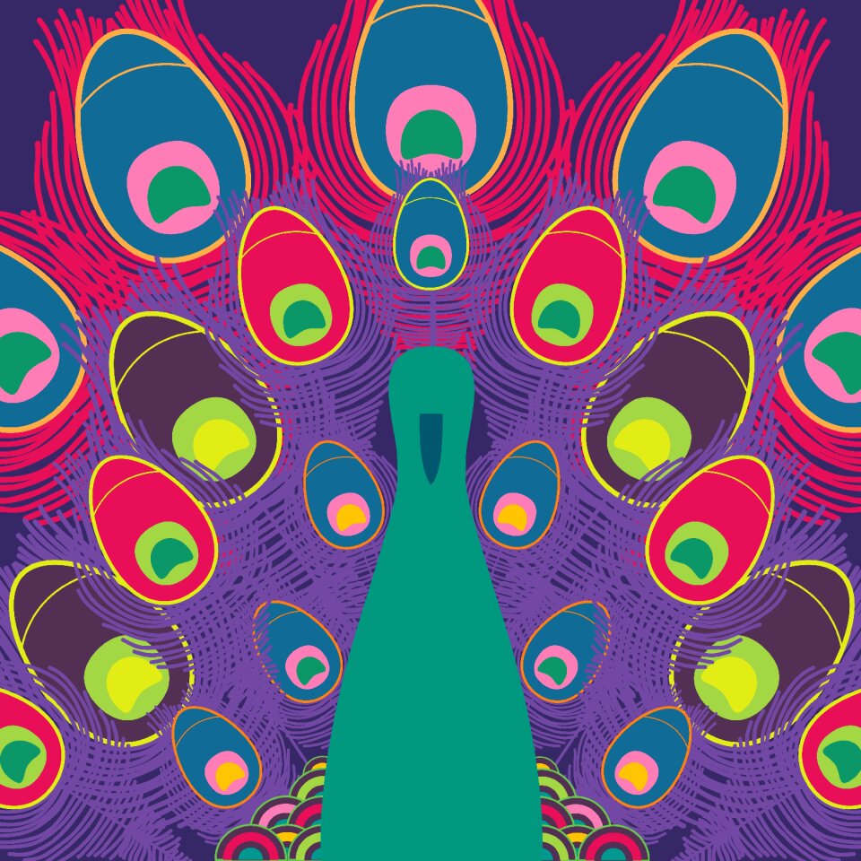 Feathers colorful clip art