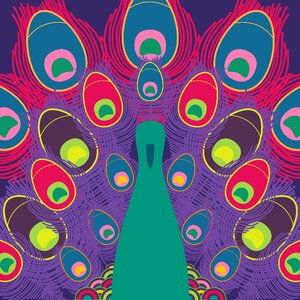Feathers colorful clip art