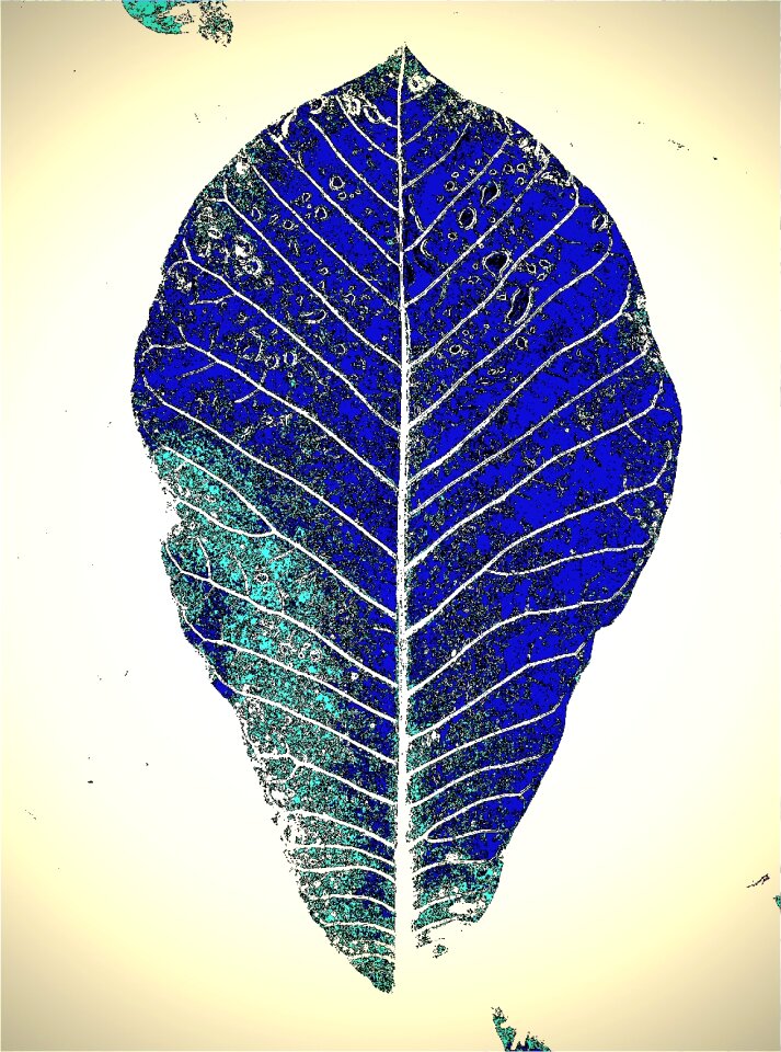 Blue art Free illustrations
