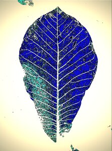 Blue art Free illustrations