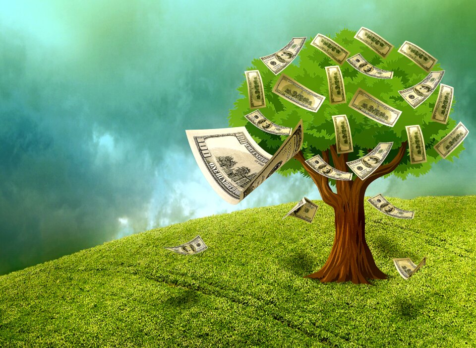 Assets money plant Free illustrations