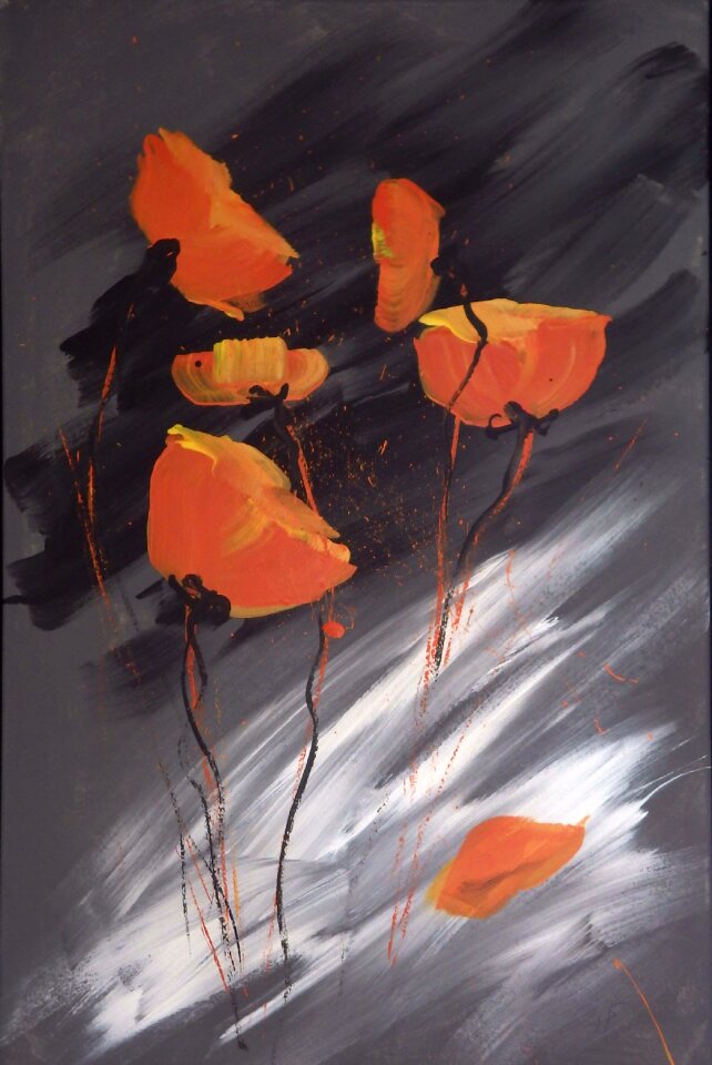 Own production poppies Free illustrations
