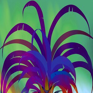 Pattern colorful backgrounds