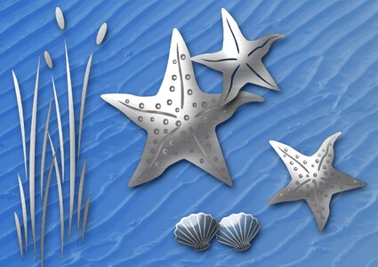 Sea bank summer