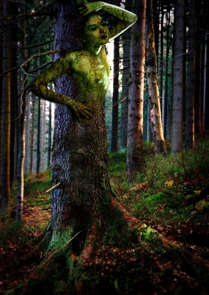 Cover magic a fairy tale
