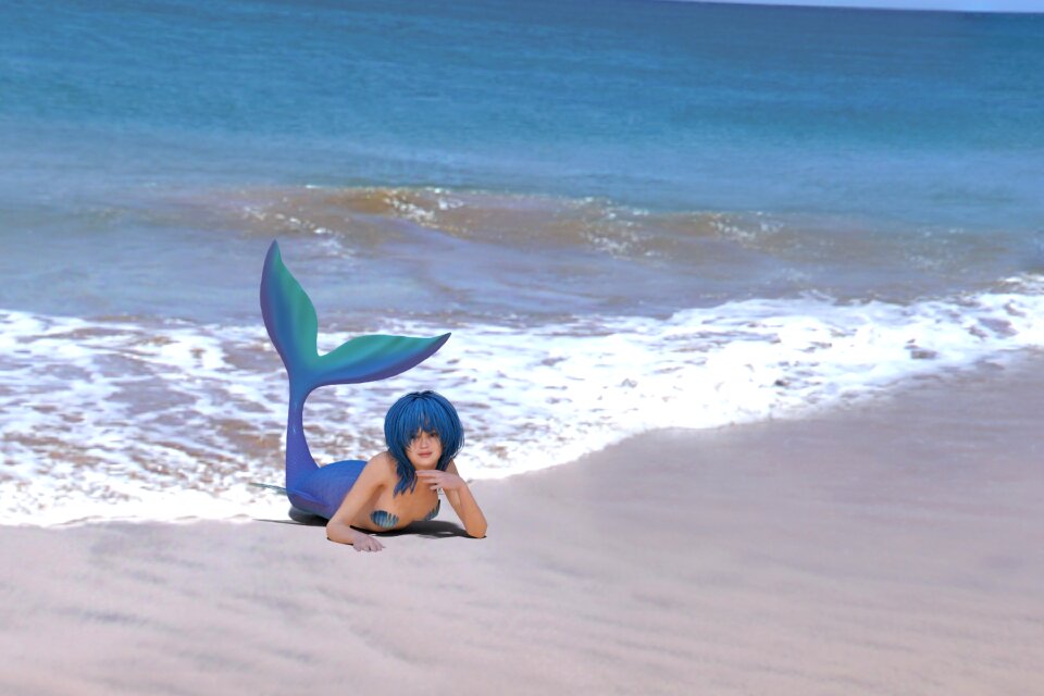 Female mermaids sea