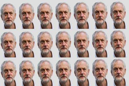 Wallpaper heads politician