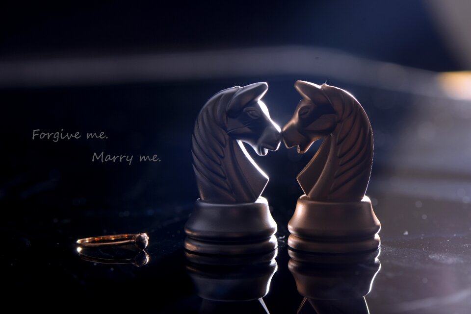Ring merry i Free illustrations