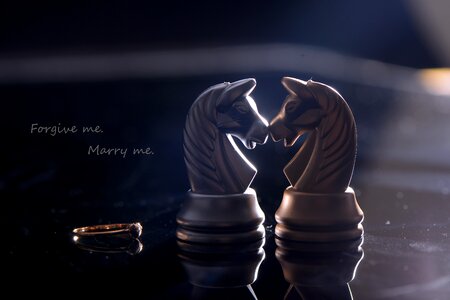 Ring merry i Free illustrations