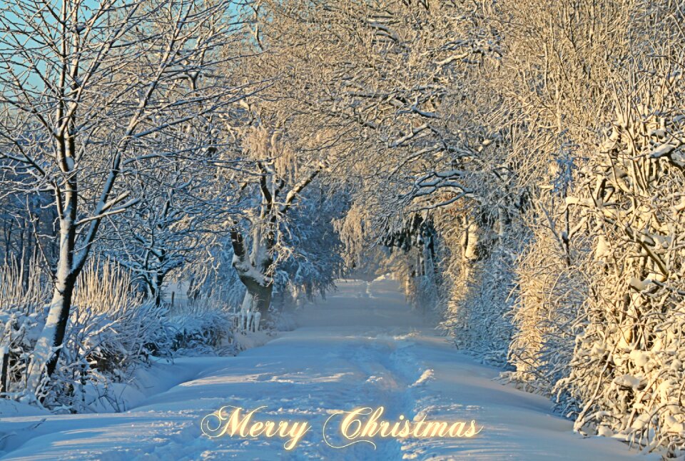 Winter wintry snow