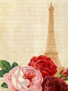 Roses flowers paris