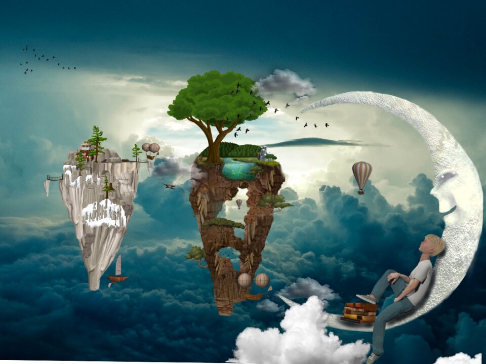 Boy books trees
