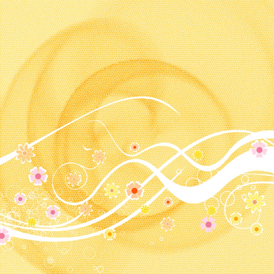 Conceptual orange background orange flower