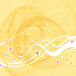 Conceptual orange background orange flower