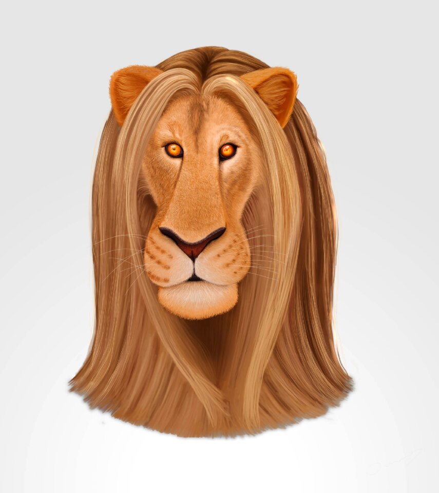 Nature hair wild animal