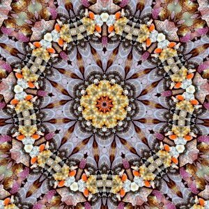 Kaleidoscope concentric creativity