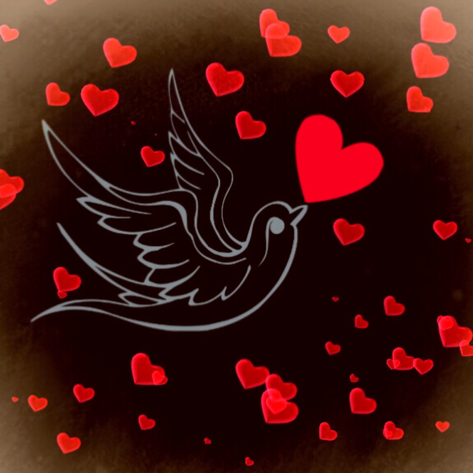 Romantic valentine's day together greeting card