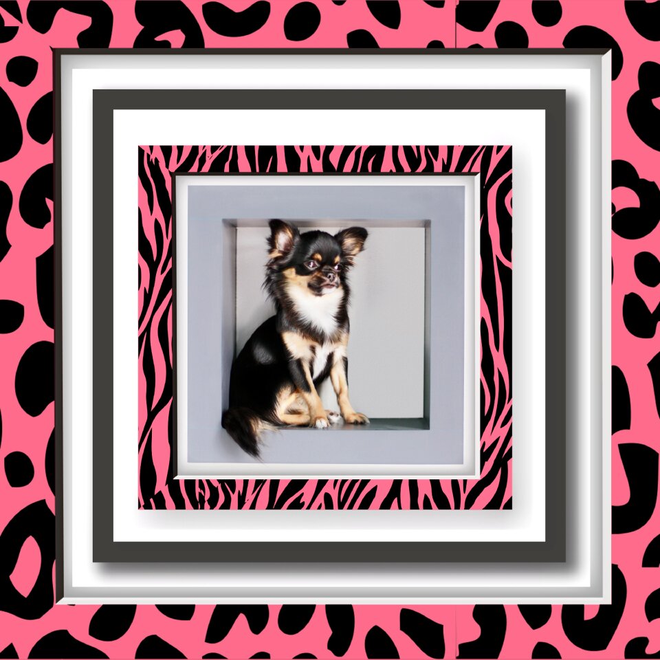 Pink frame Free illustrations