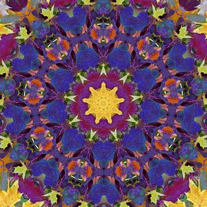 Blue purple yellow