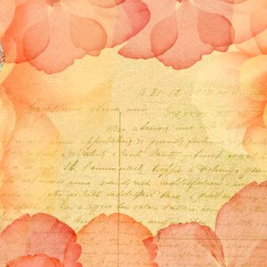 Pink petals soft