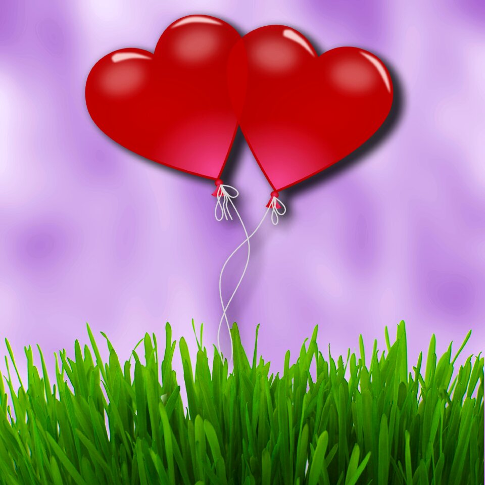 Moment partnership love