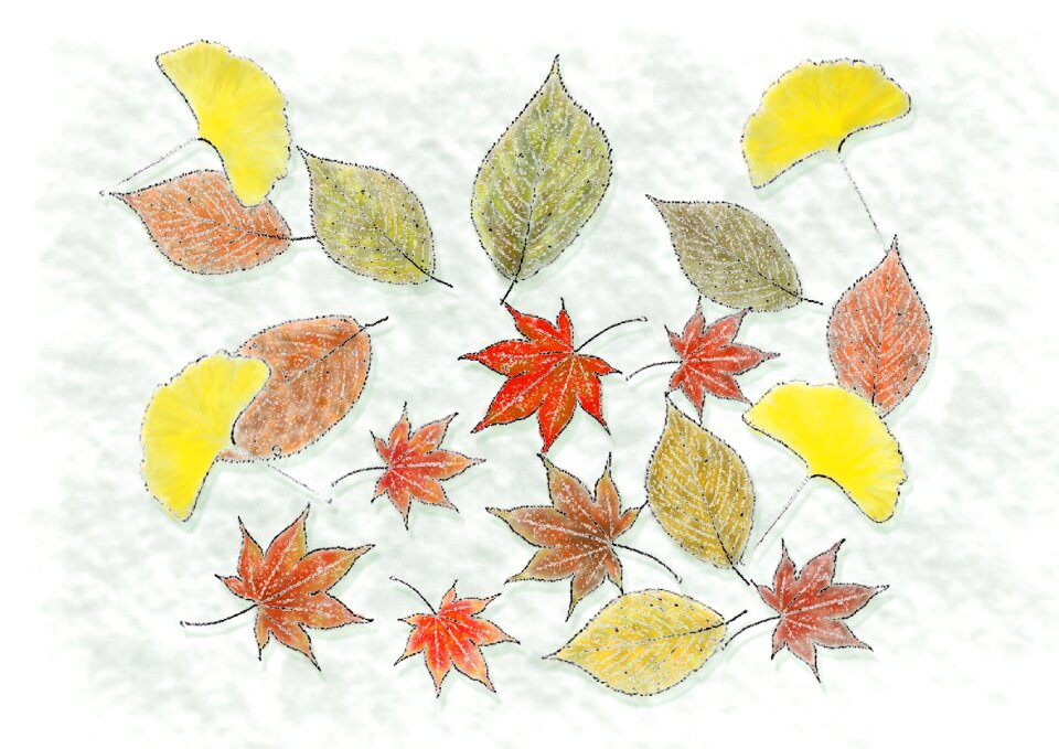 Fallen leaves foliage Free illustrations