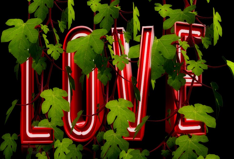 Plant background green