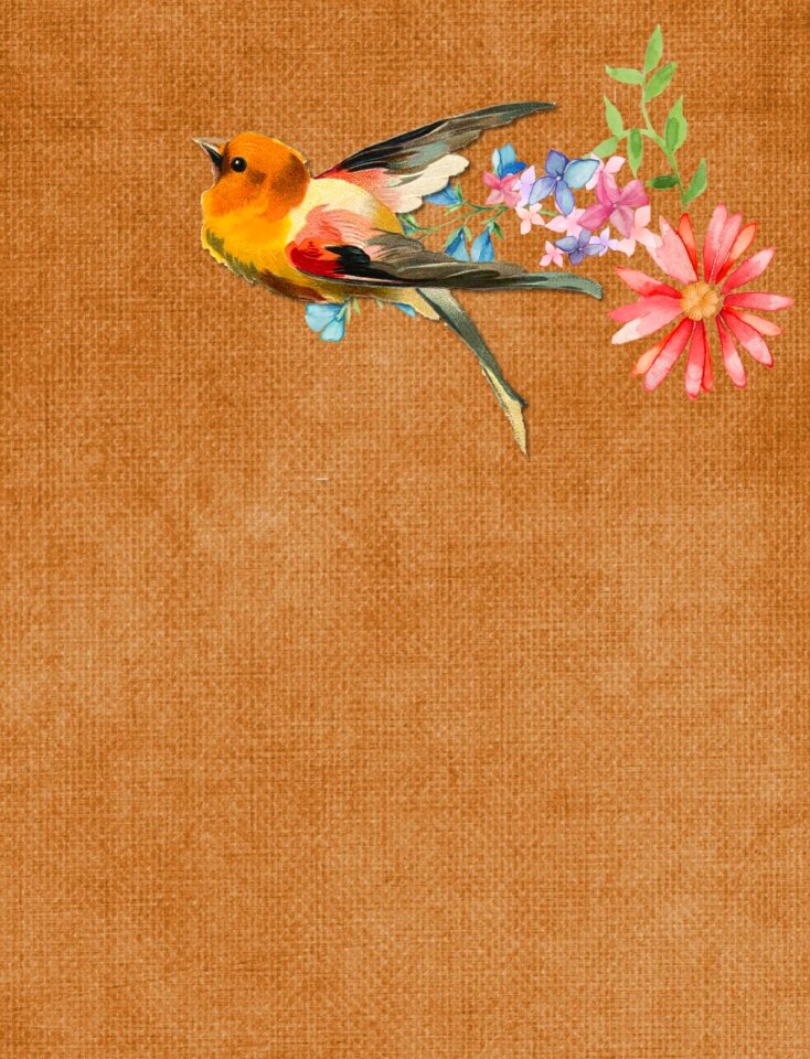 Page bird texture