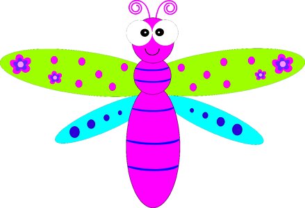Insects nature dragonfly