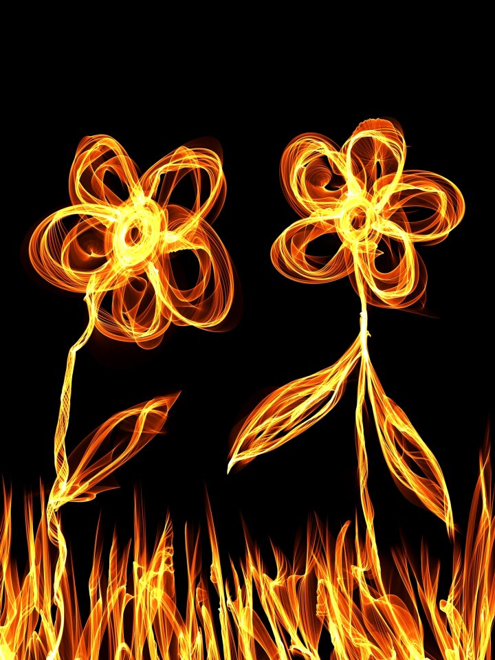Botany flower floral