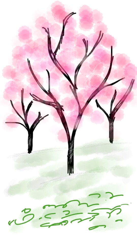 Spring flower nature pink