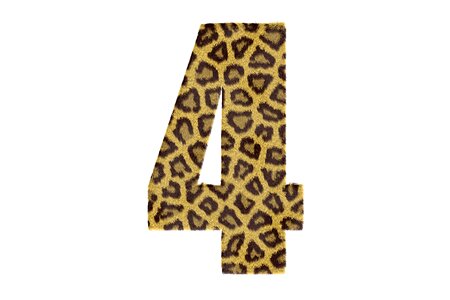 Texture leopard text