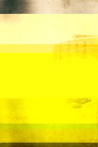 Background yellow nature