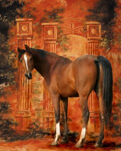 Animal bay brown horse
