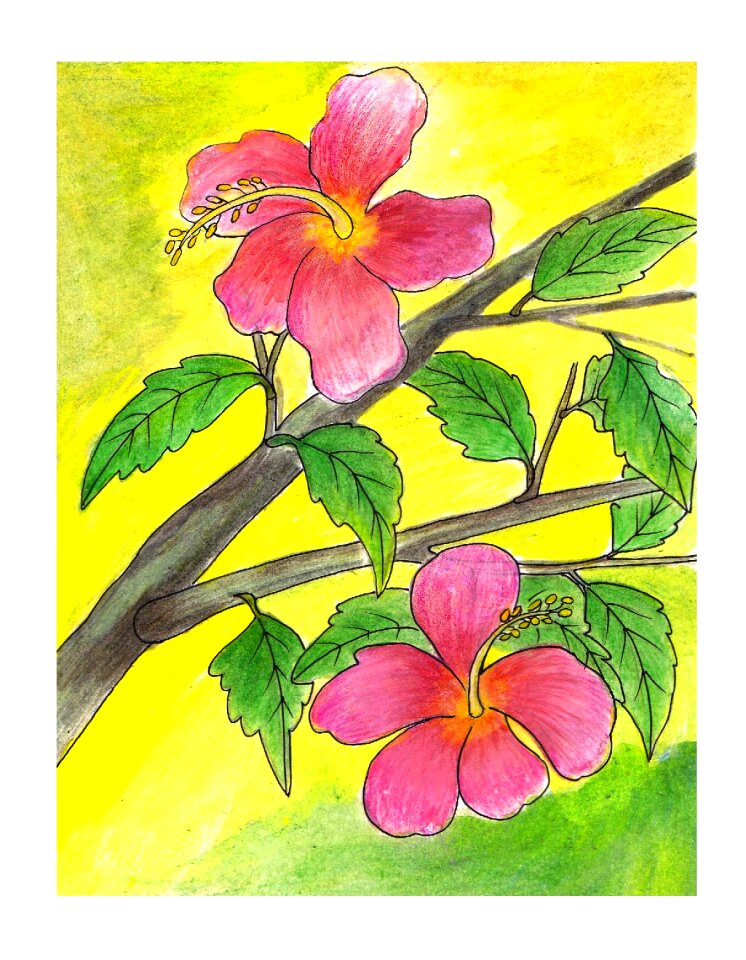 Flower illustration plant Free illustrations