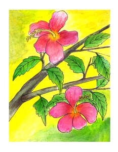 Flower illustration plant Free illustrations