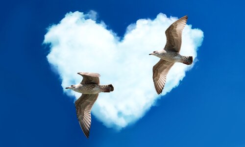 Clouds valentine's day together