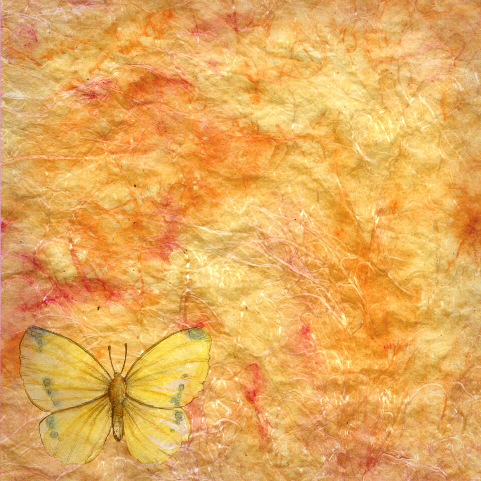 Paper vintage butterfly