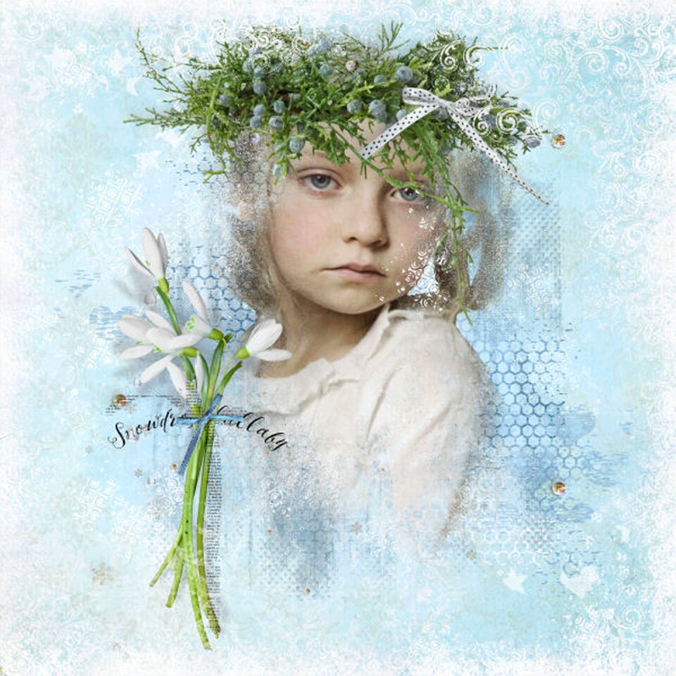 White blooming snowdrop lullaby