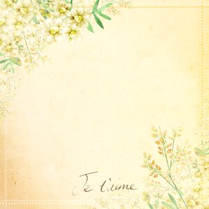 Flower design texture