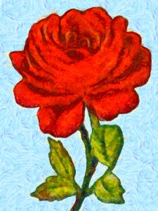 Botany flower floral