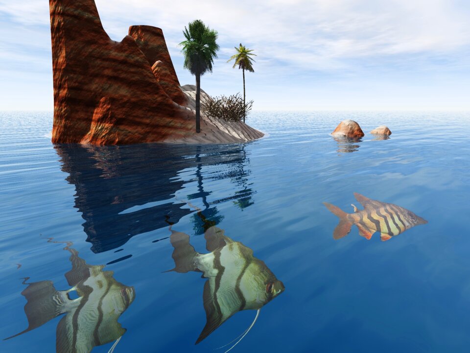 Fish blue sea Free illustrations
