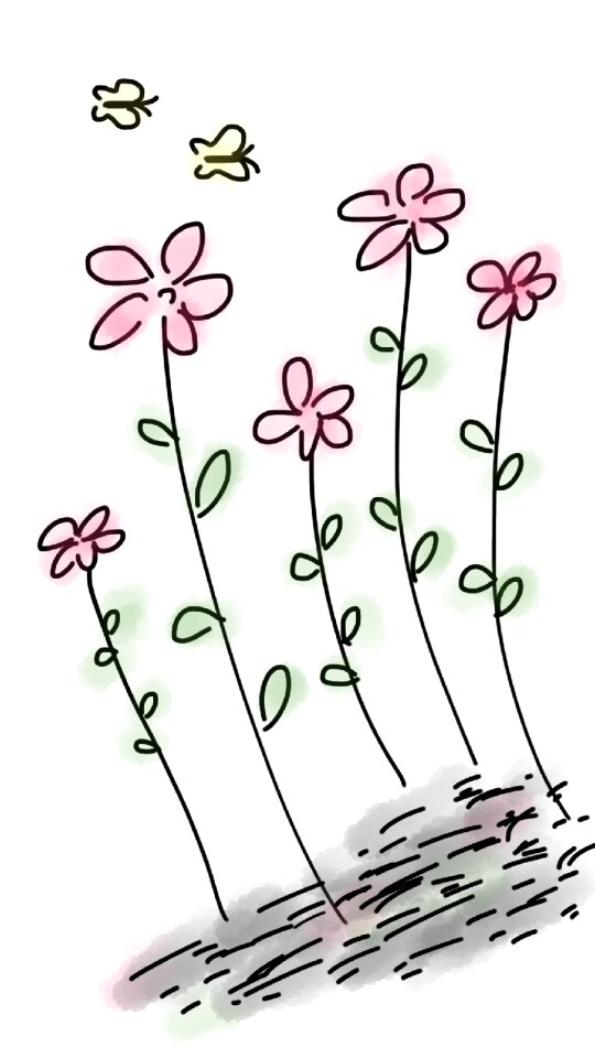 Outdoor spring bloom