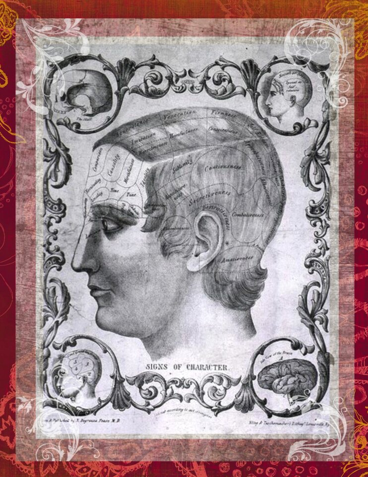 Psychology vase background